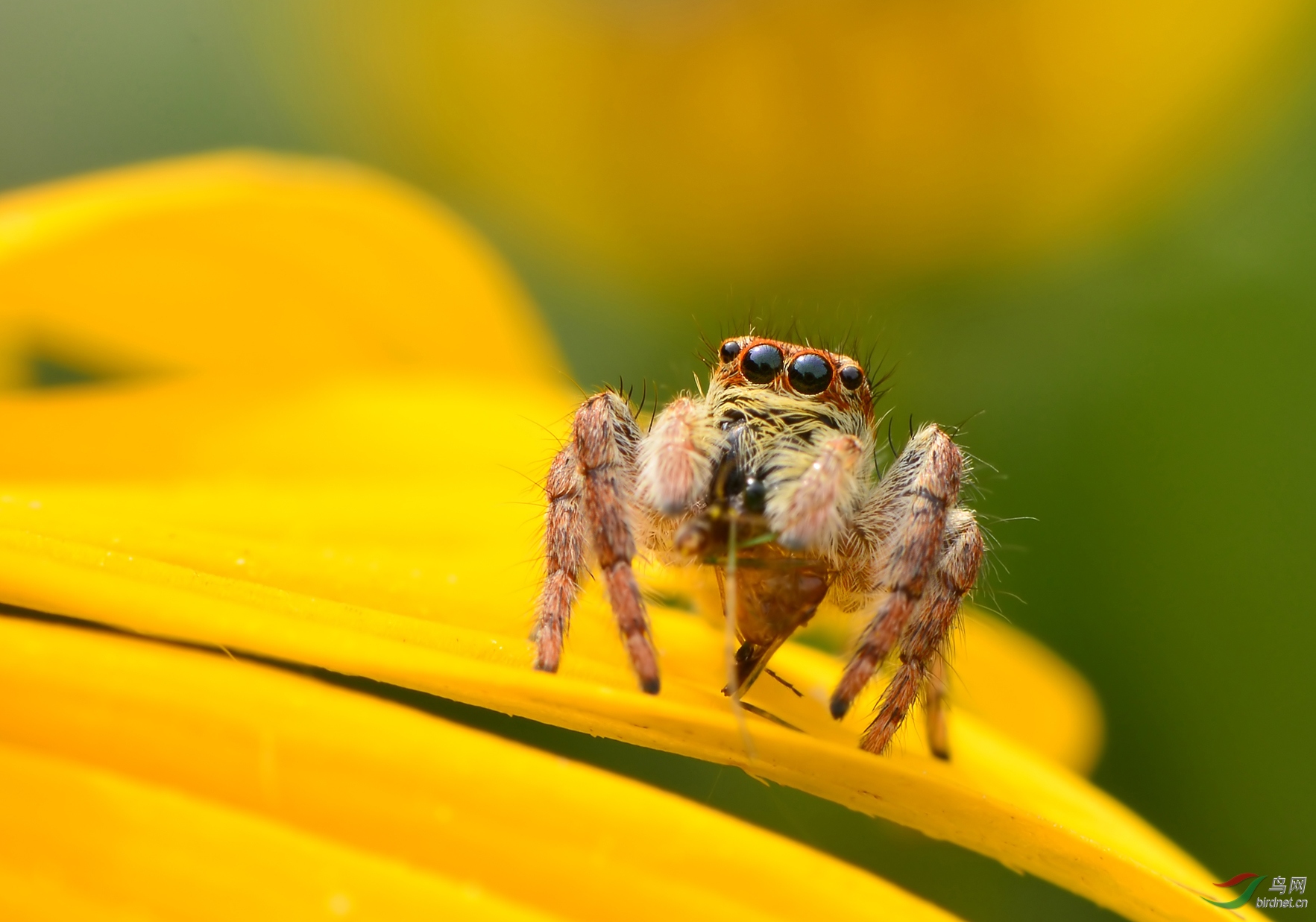 DSC_6809 ��������.jpg