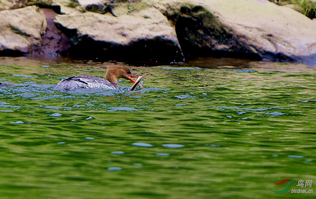 DSC_1719.jpg