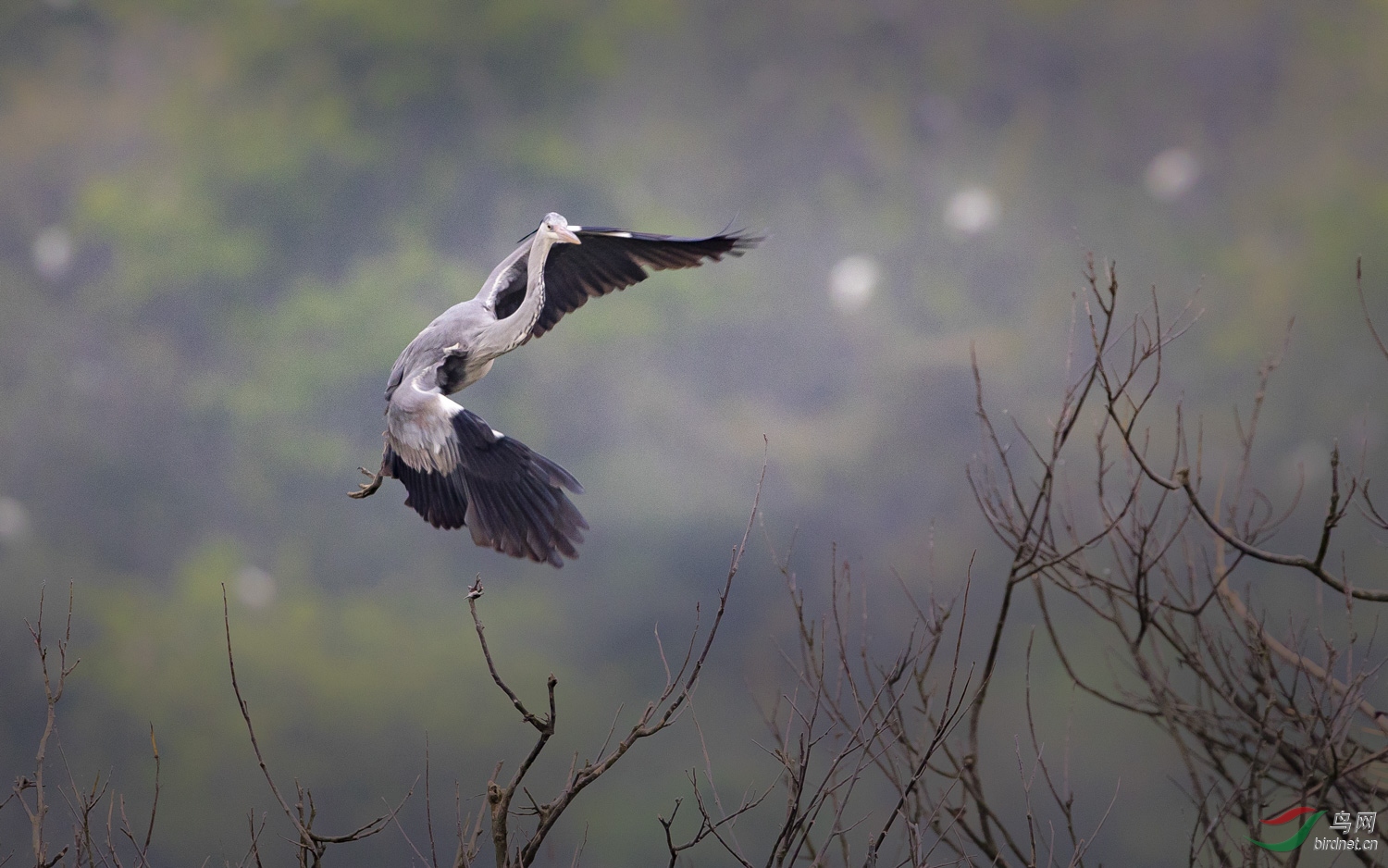 ����   019  20200405.jpg