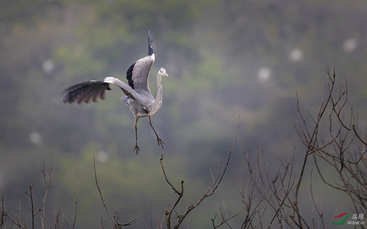 ����   020  20200405.jpg