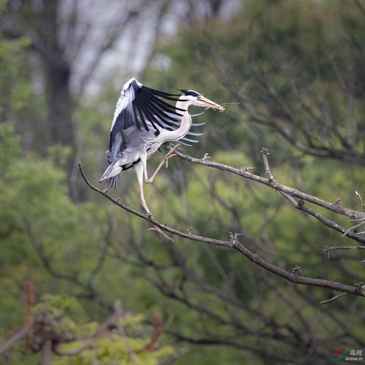 ����   122  20200405.jpg