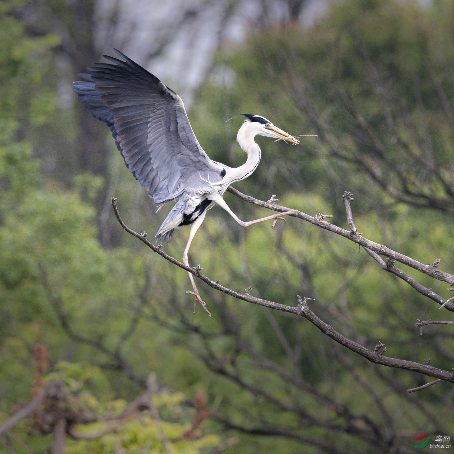 ����   123  20200405.jpg