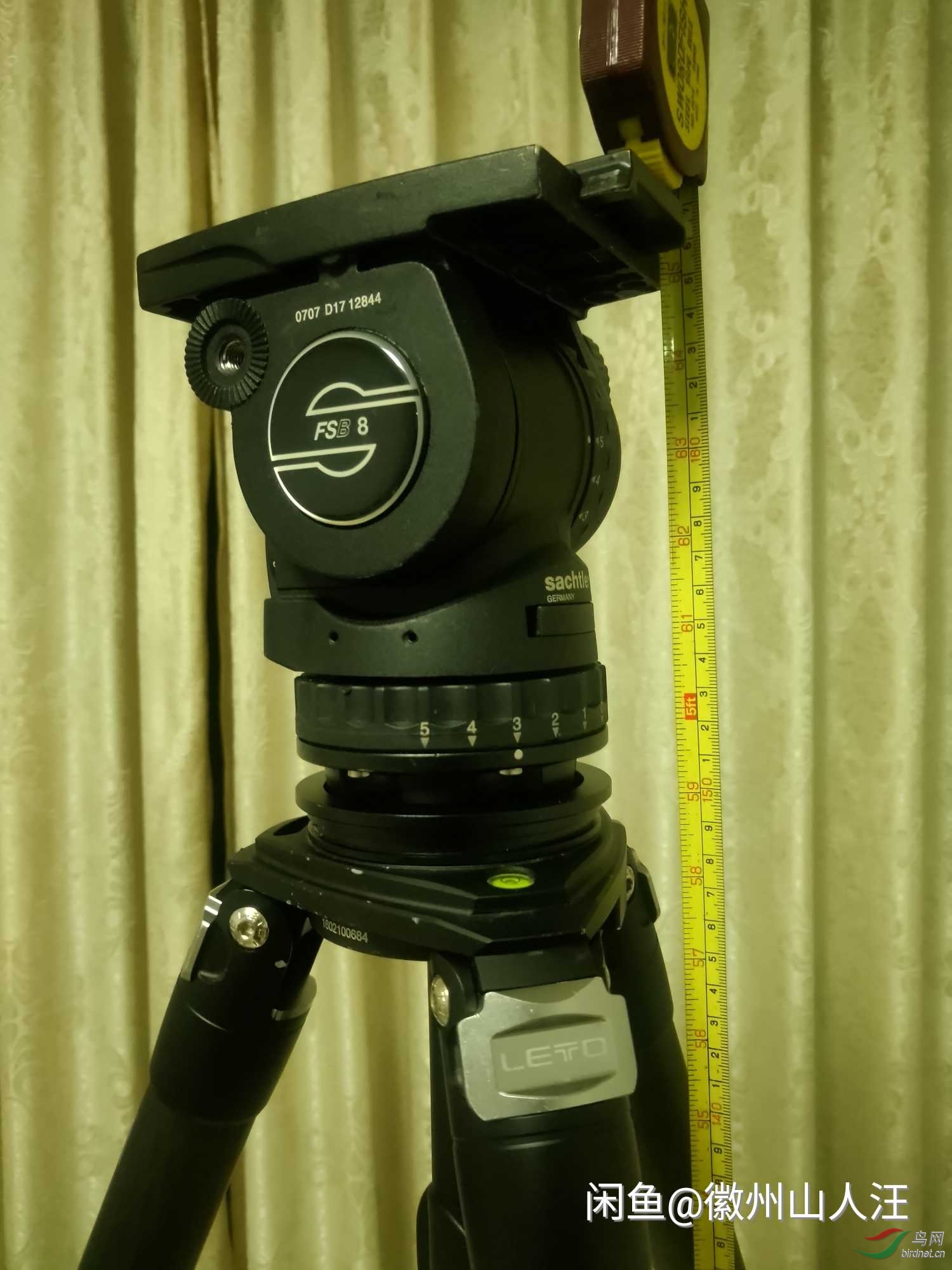 �ż�ȫ���߶�1.5��