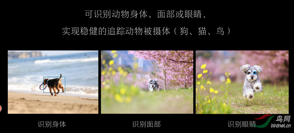 BaiduHi_2020-4-16_13-21-22.png