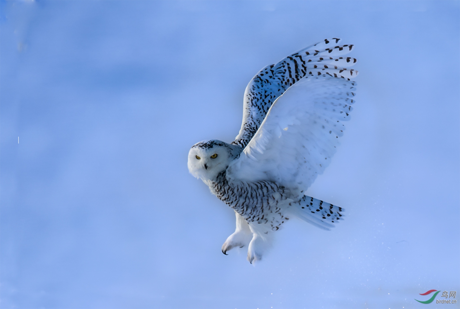 _LZP7473.jpg�ɷ���.jpg