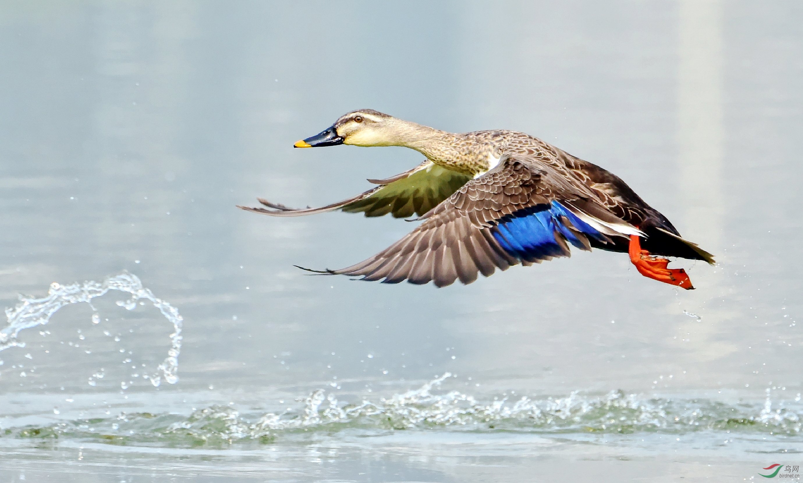DSC_9854_conew4.jpg