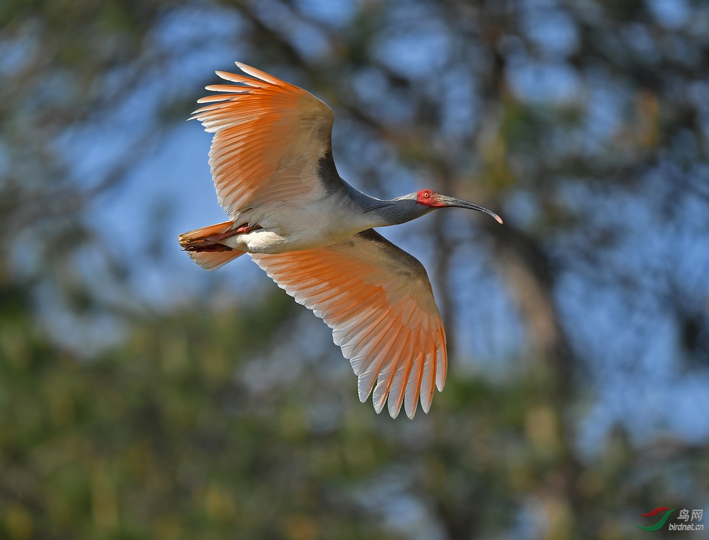 DSC_8359.jpg