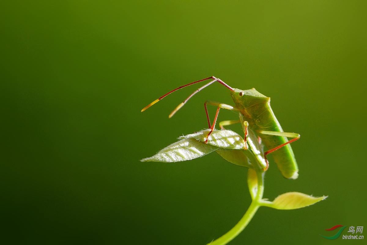 202027.�����в��ܳ���֮��