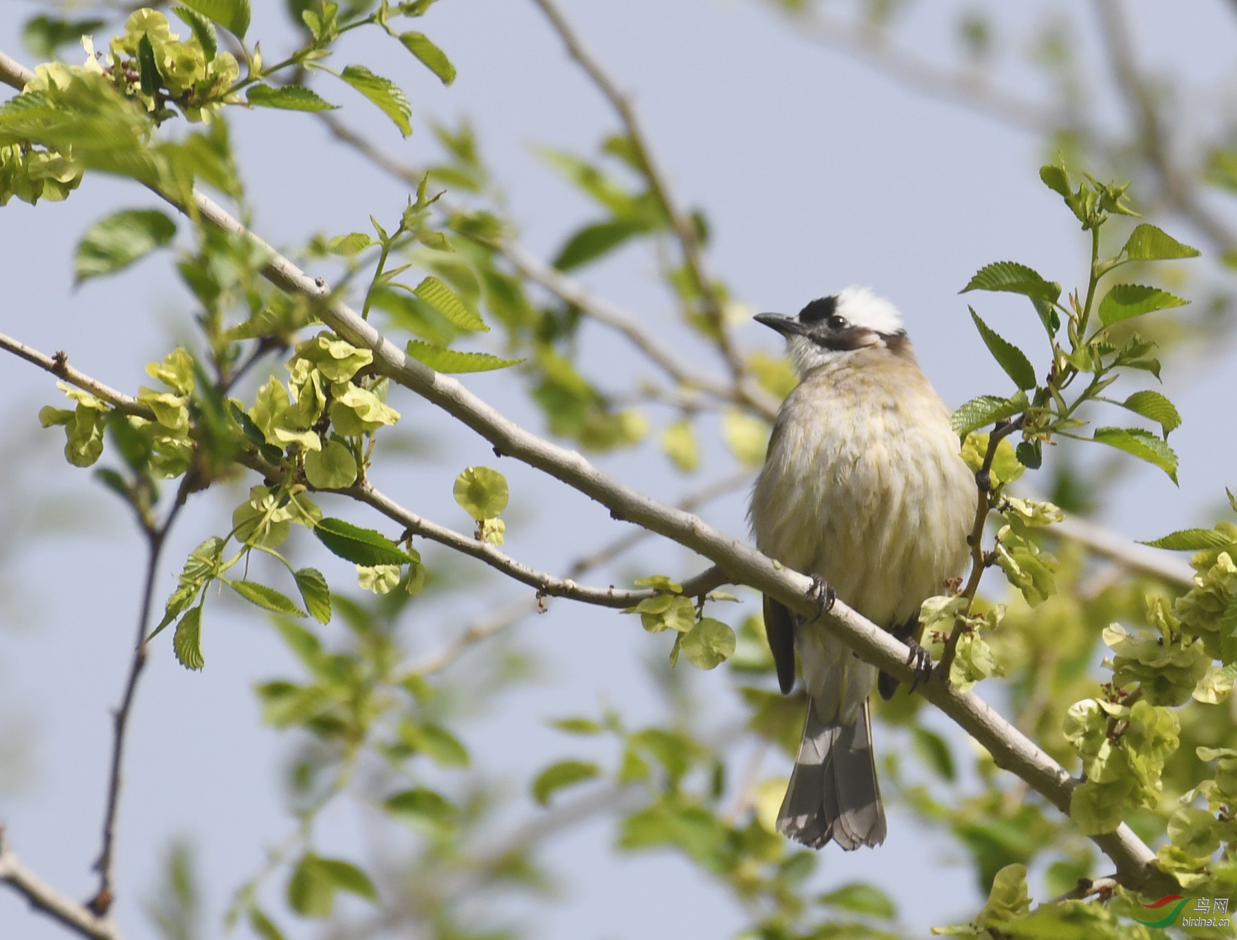 ������Ӱ 1160����.jpg