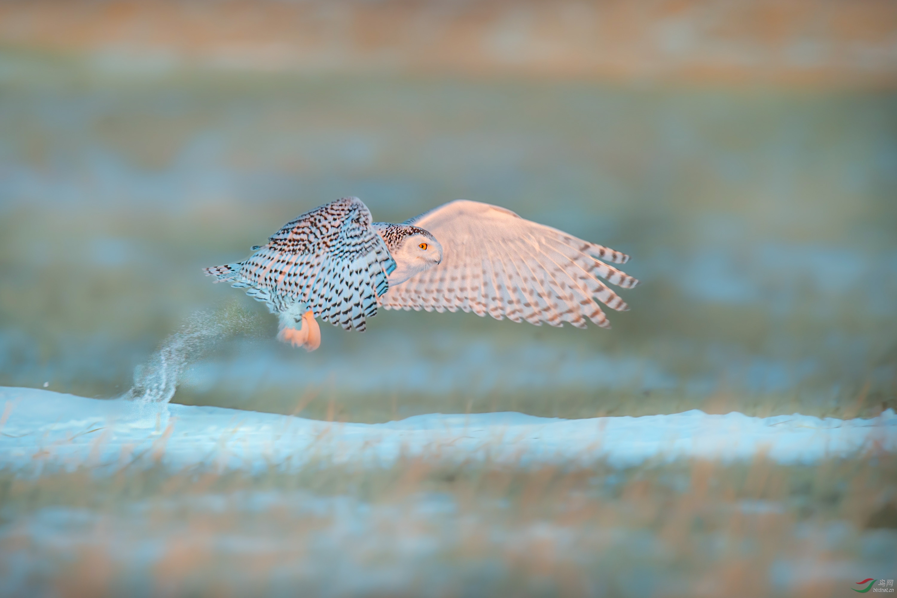 040120 53����.jpg