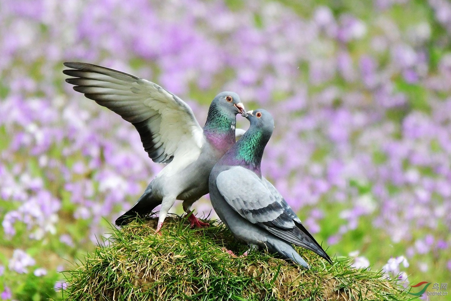 �����ɼ� 023.JPG