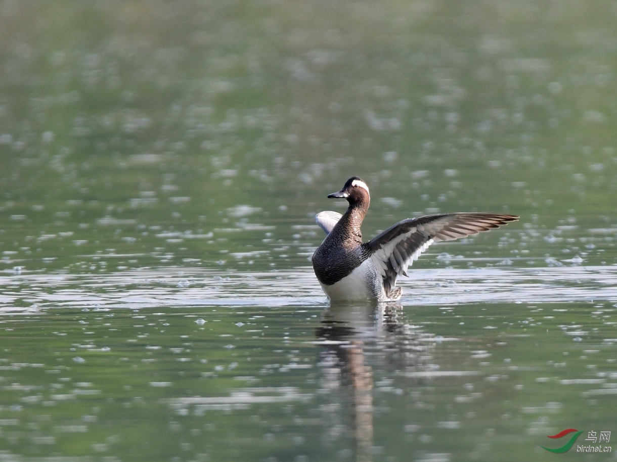 DSC_4945.JPG