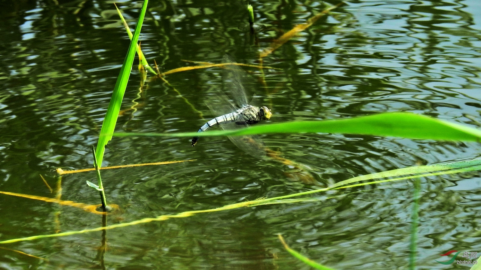 DSCN2692.JPG