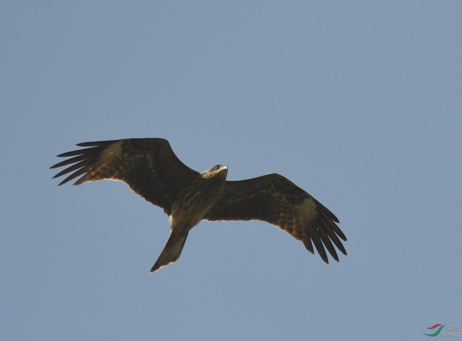 ������Ӱ 1659����.jpg