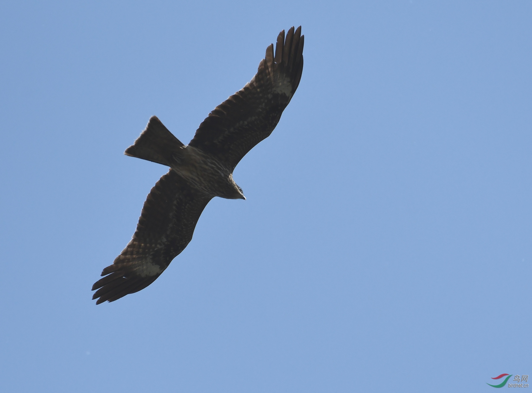 ������Ӱ 1676����.jpg