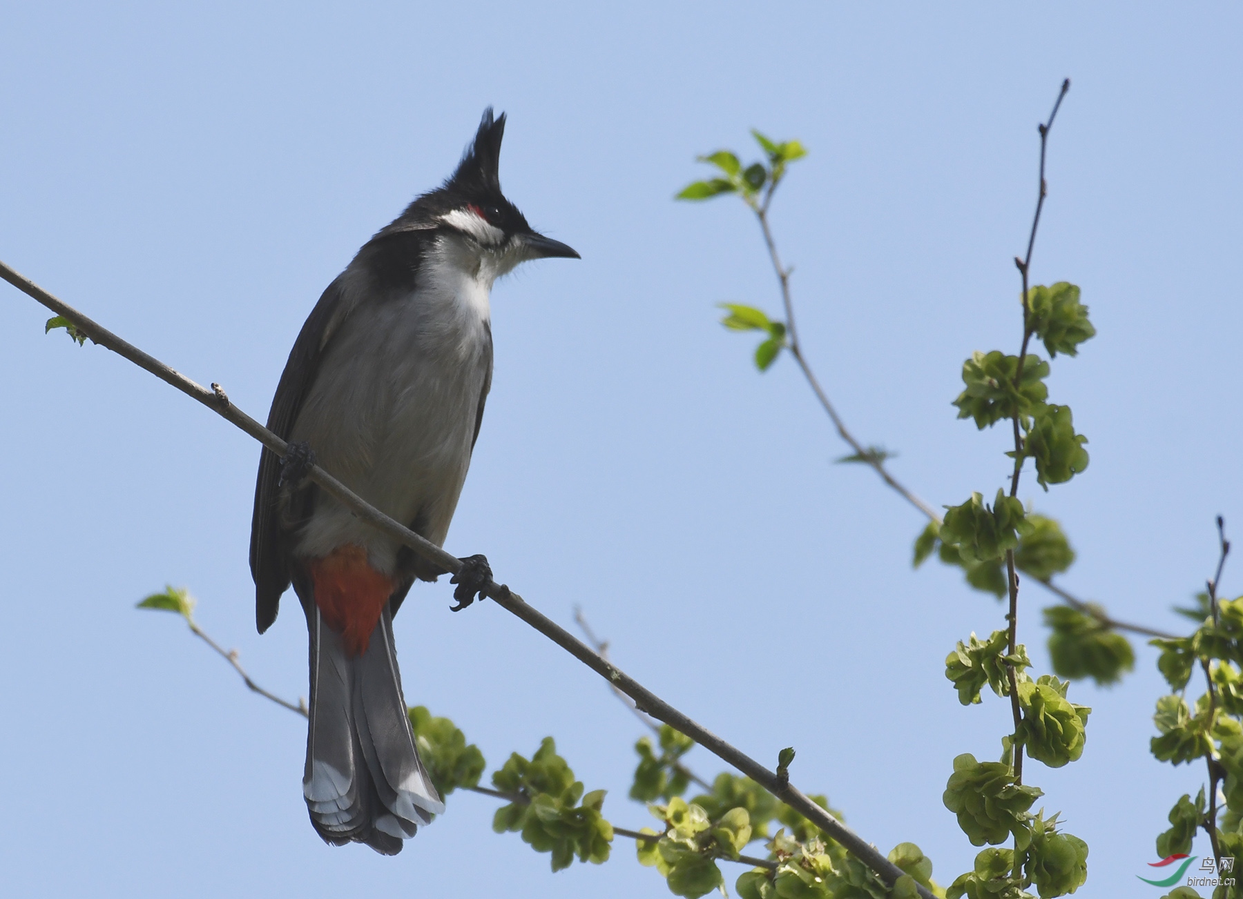 ������Ӱ 1508����.jpg