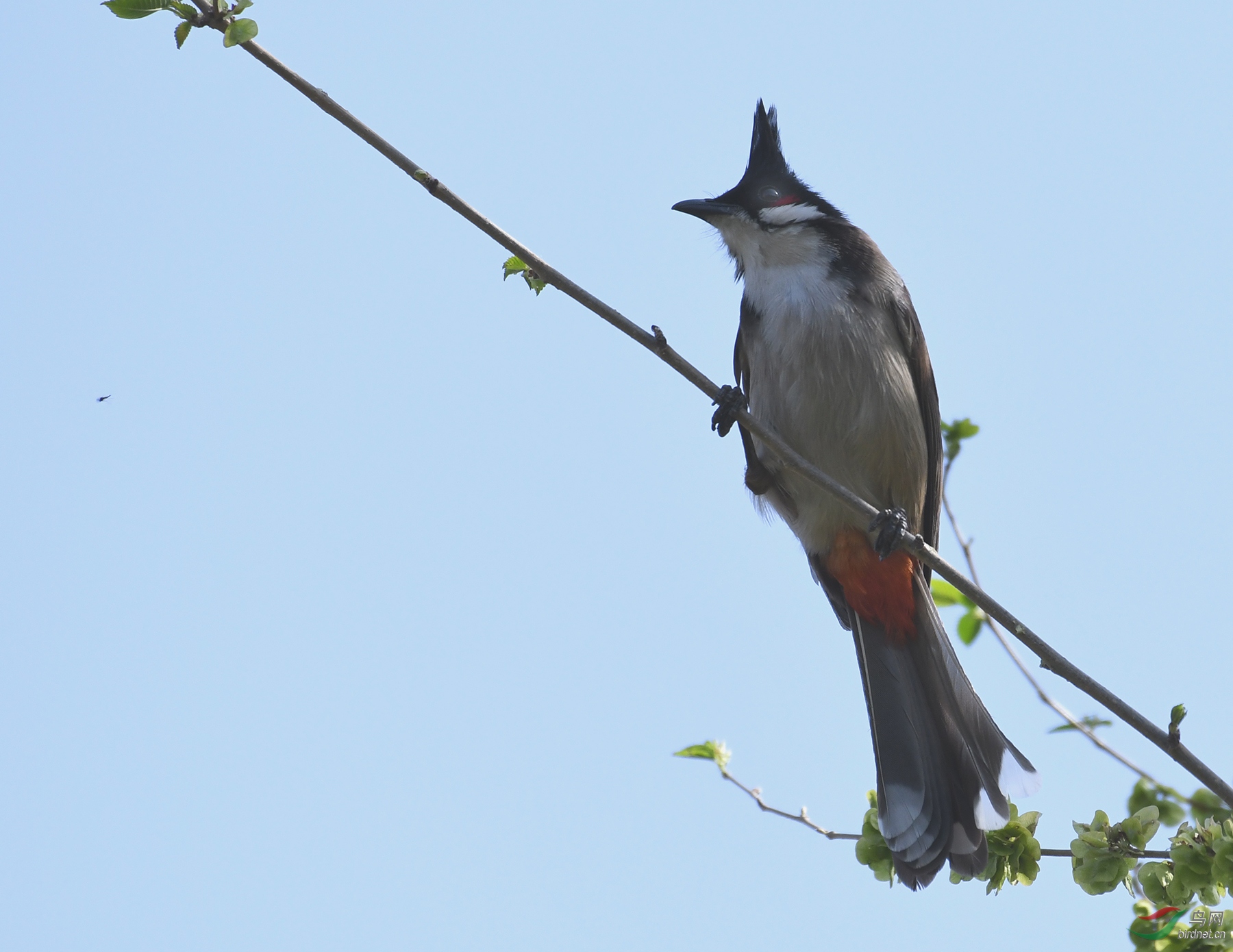 ������Ӱ 1461����.jpg