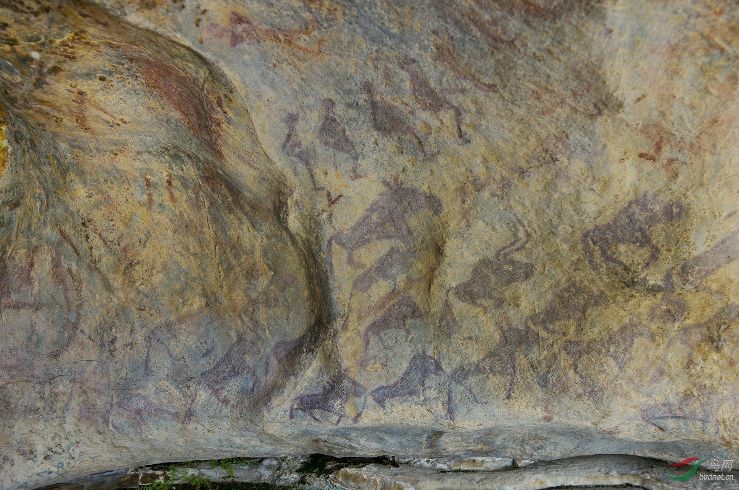 阿勒泰岩画图片