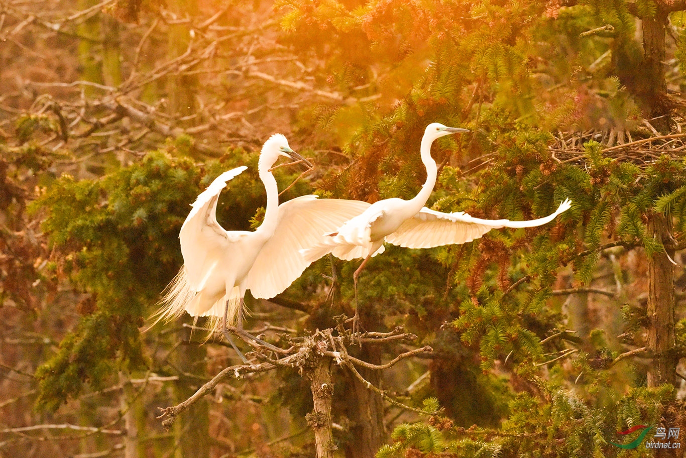 DSC_5340.jpg