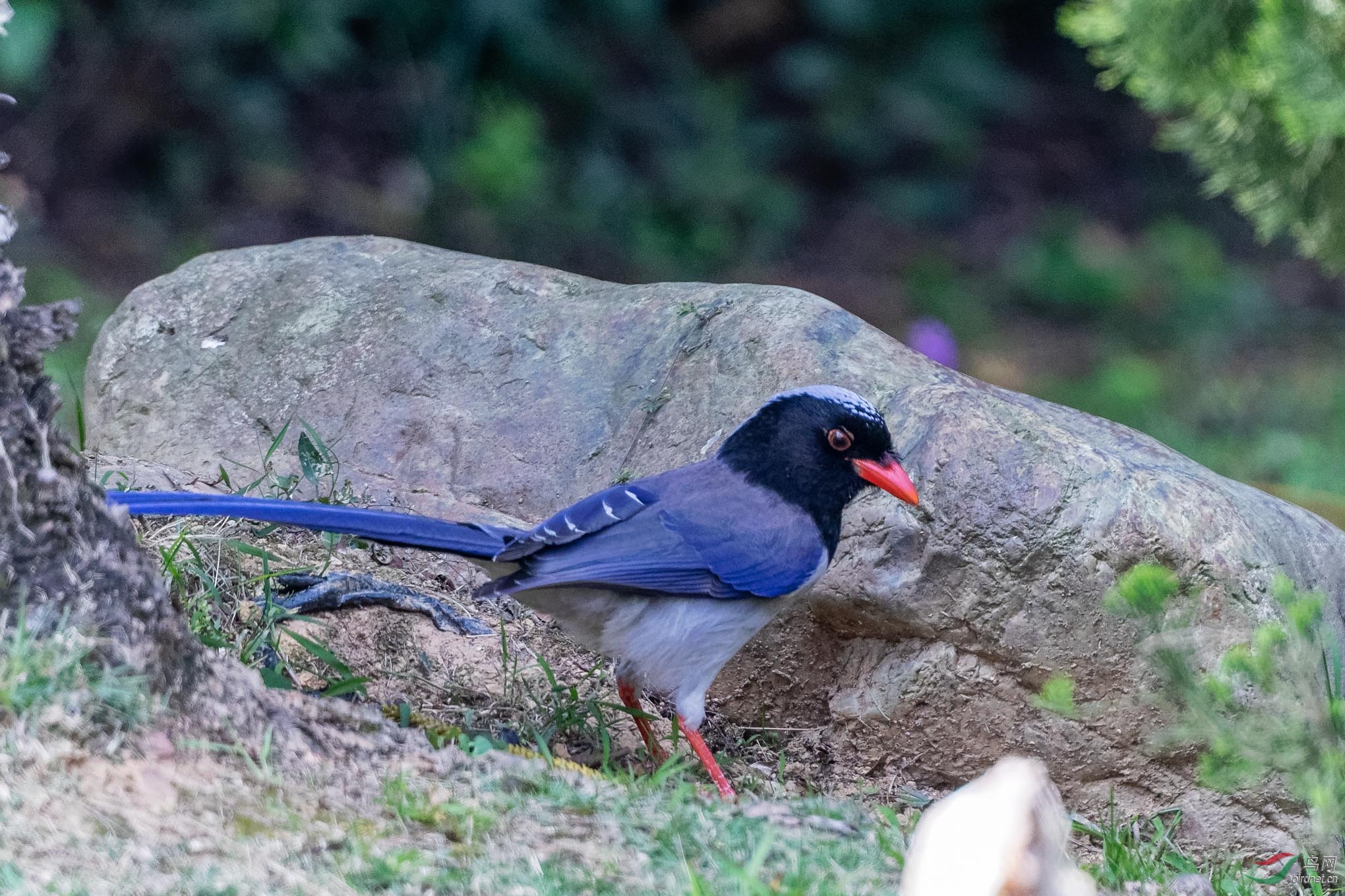 IMG_7109_DxO.jpg