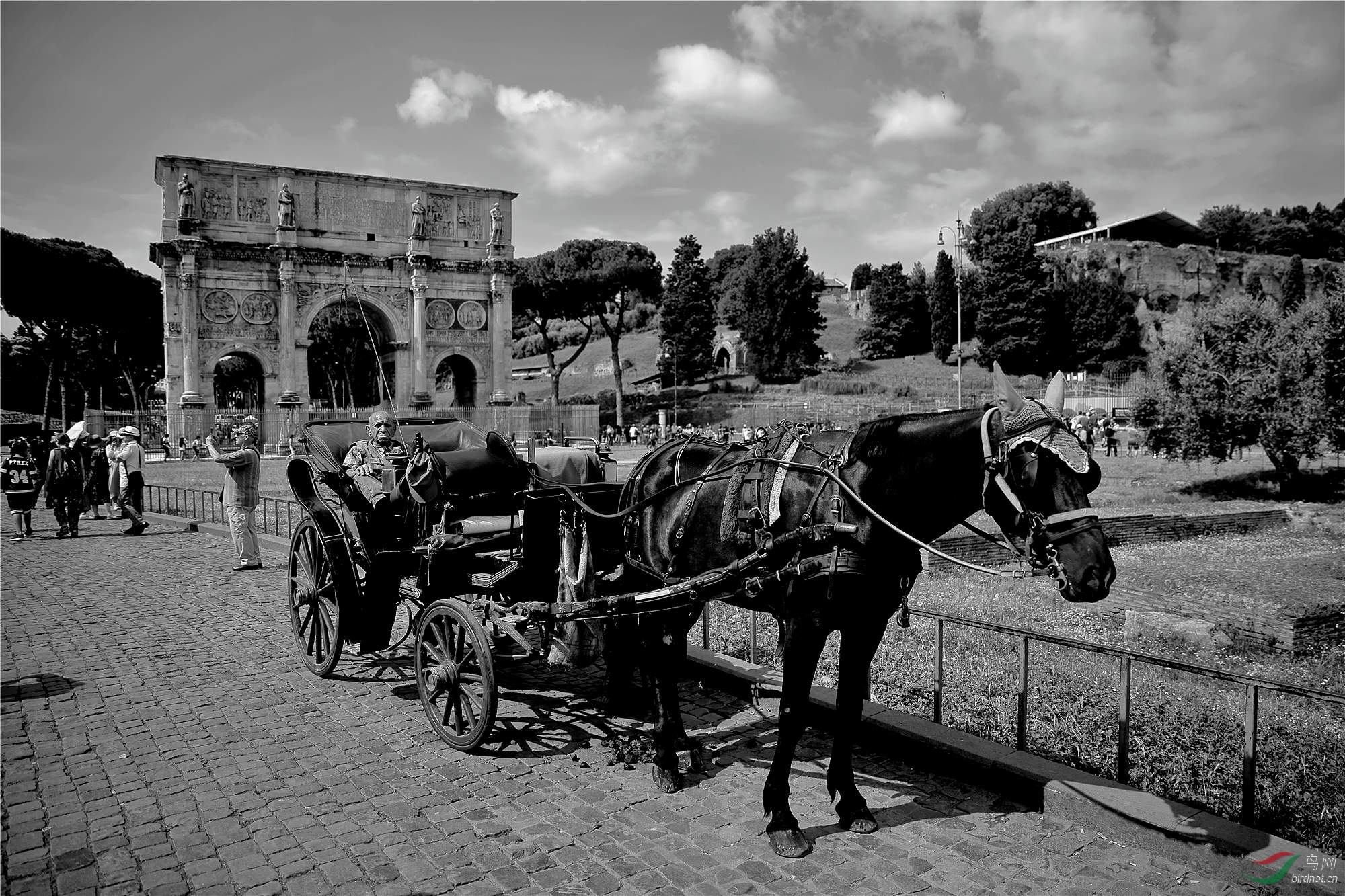 意大利罗马斗兽场凯旋门古老的马车的.