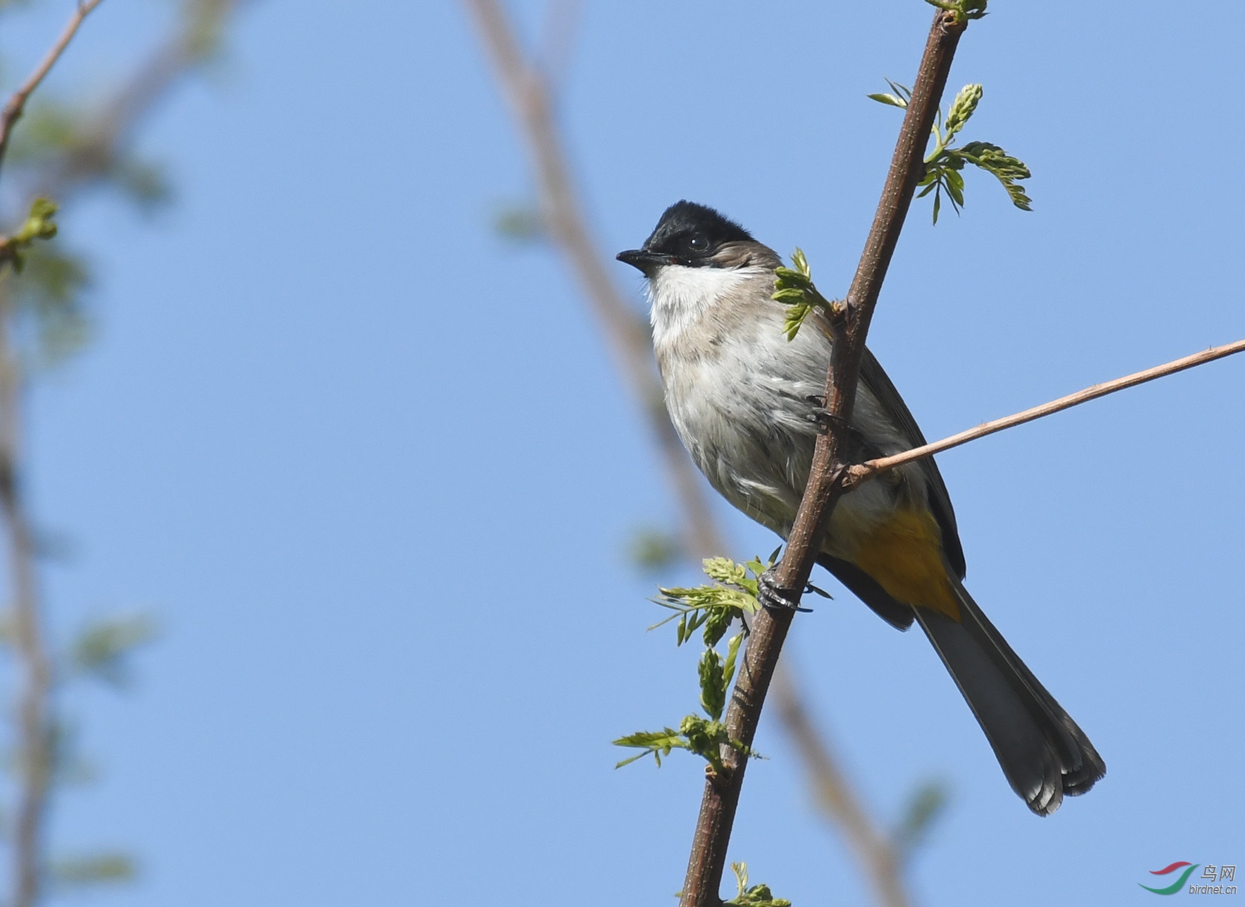 ������Ӱ 1434����.jpg