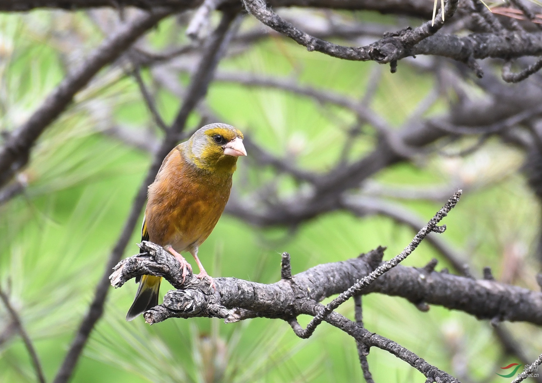 ������Ӱ 1848����.jpg