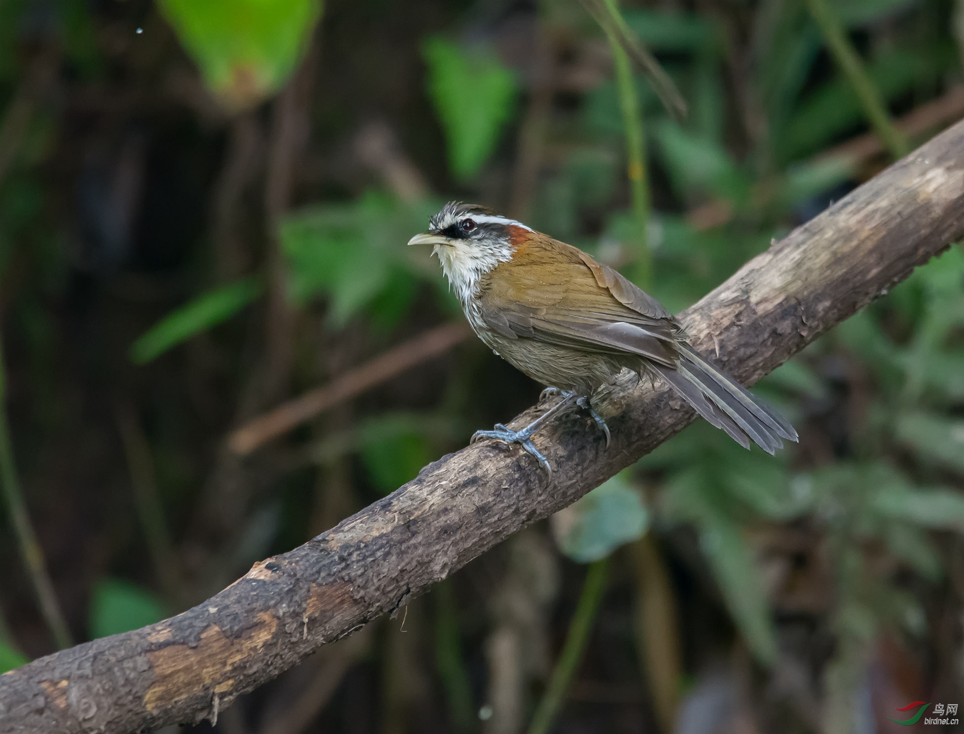 DSC_6724.jpg