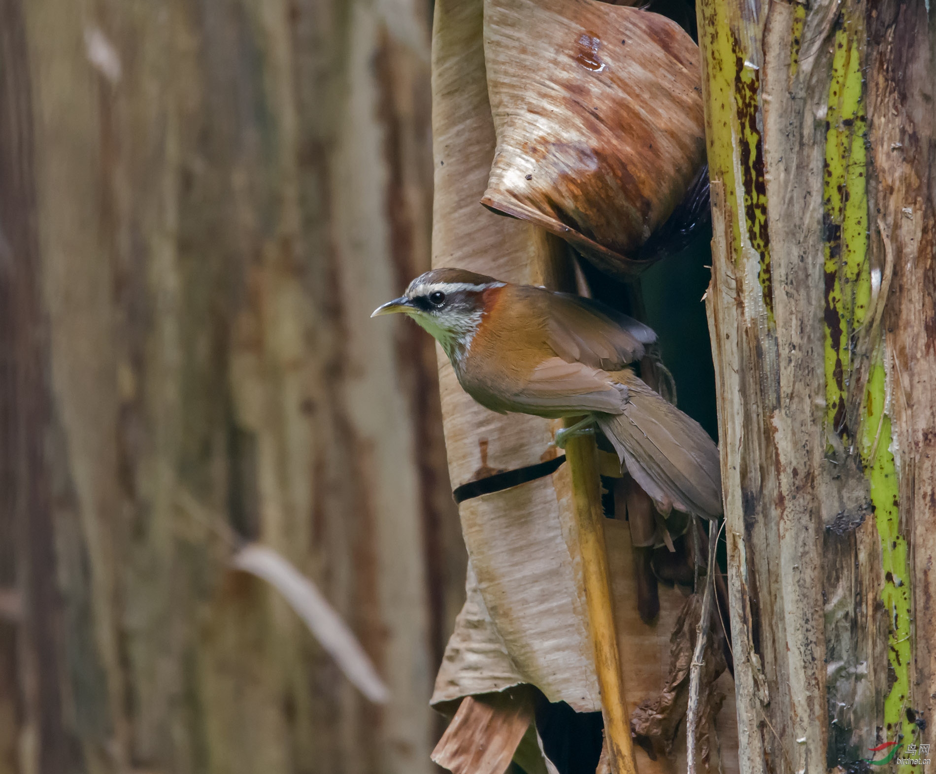 DSC_7080.jpg