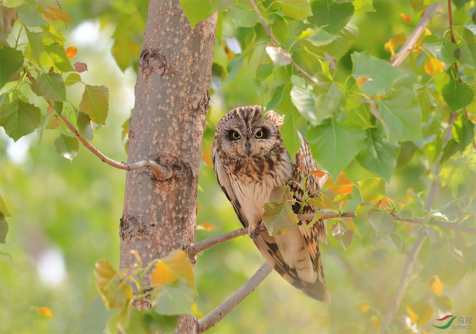 3 - ����.JPG