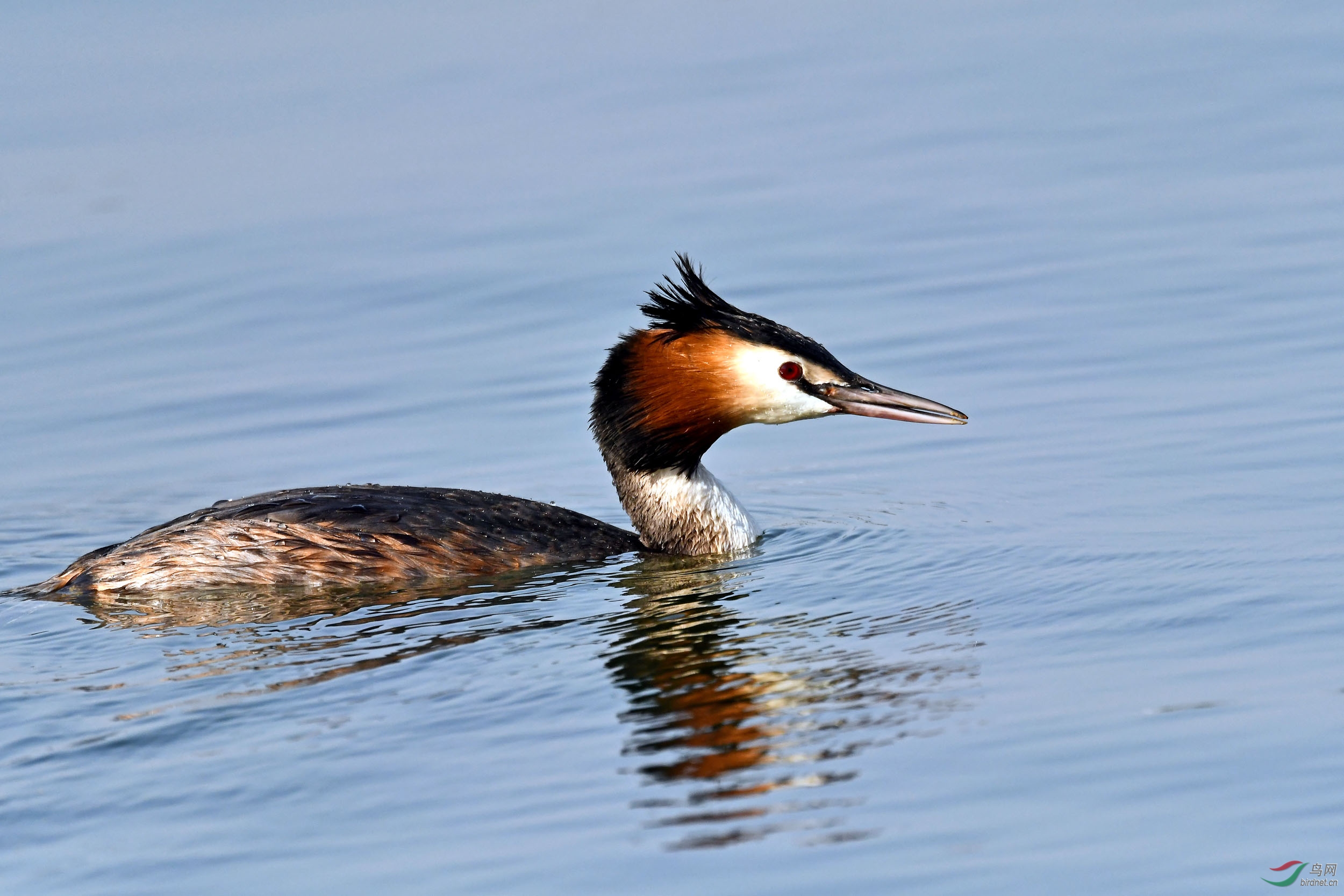 DSC_5366.jpg
