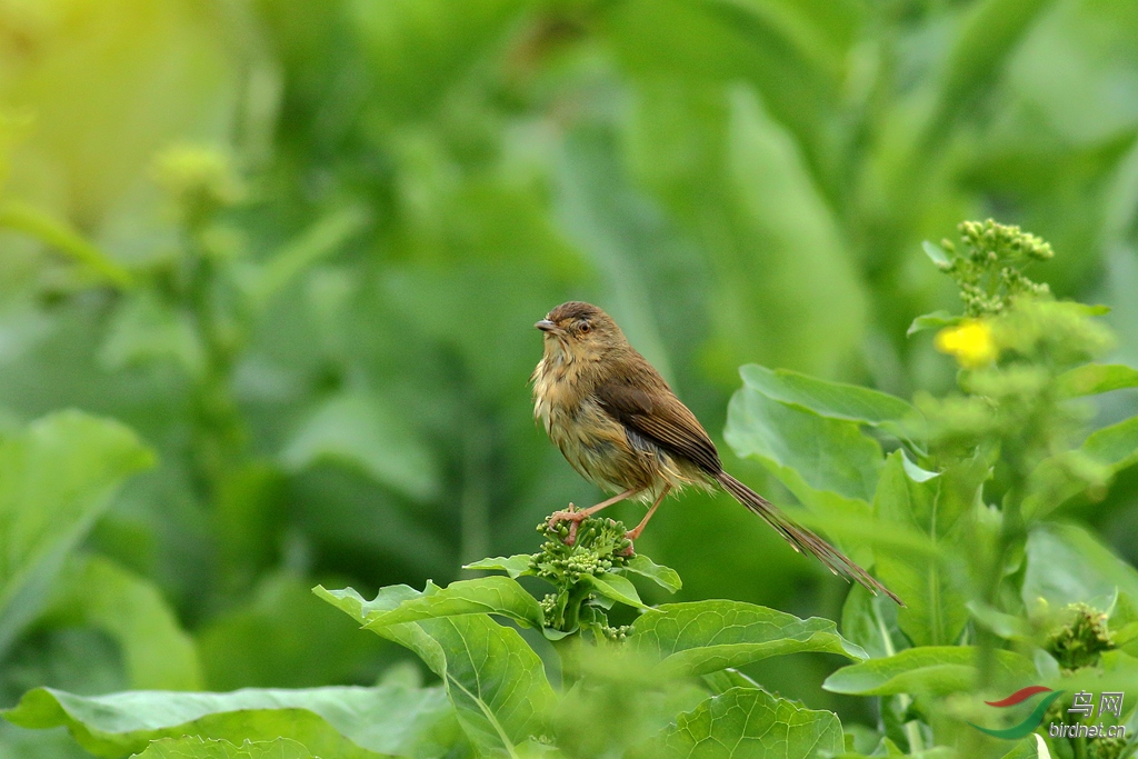 367A8792_����.jpg