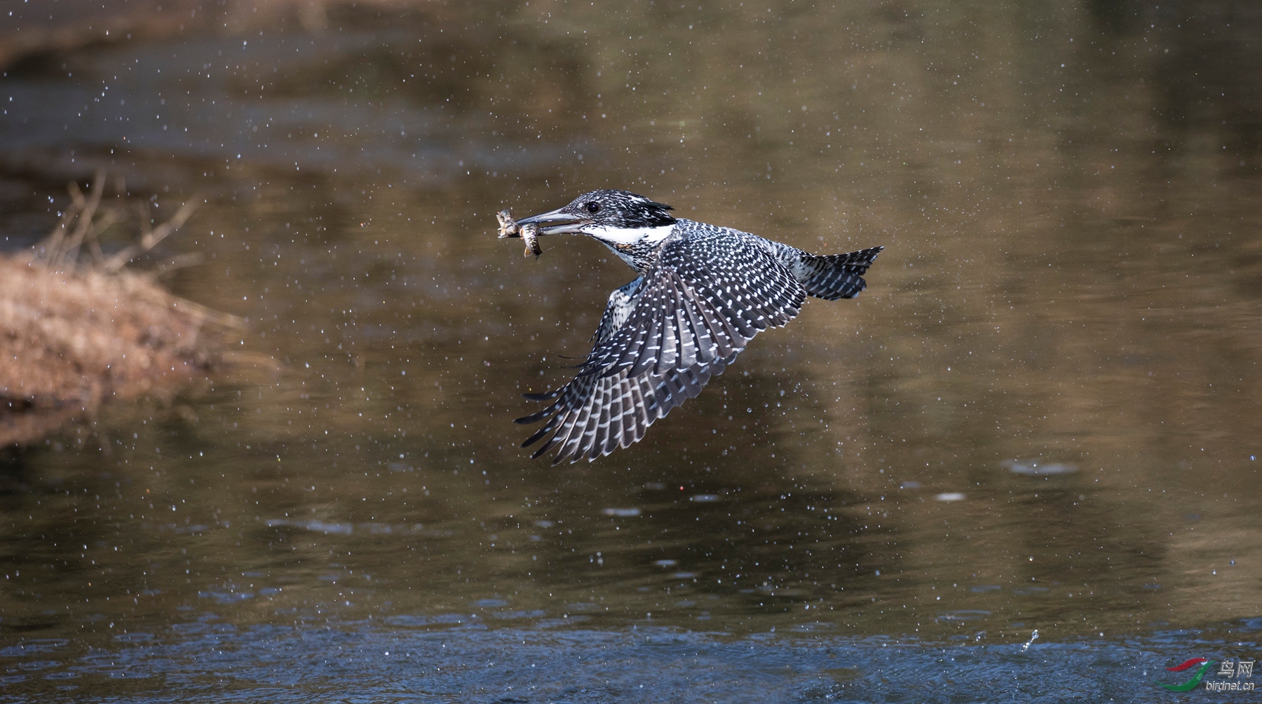 CI5A3301 - ����.JPG