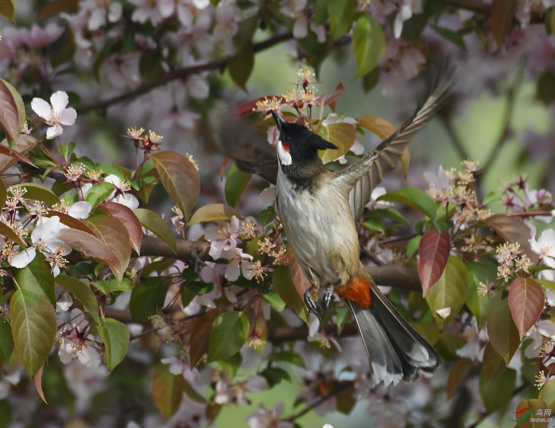 ������Ӱ 217����.jpg