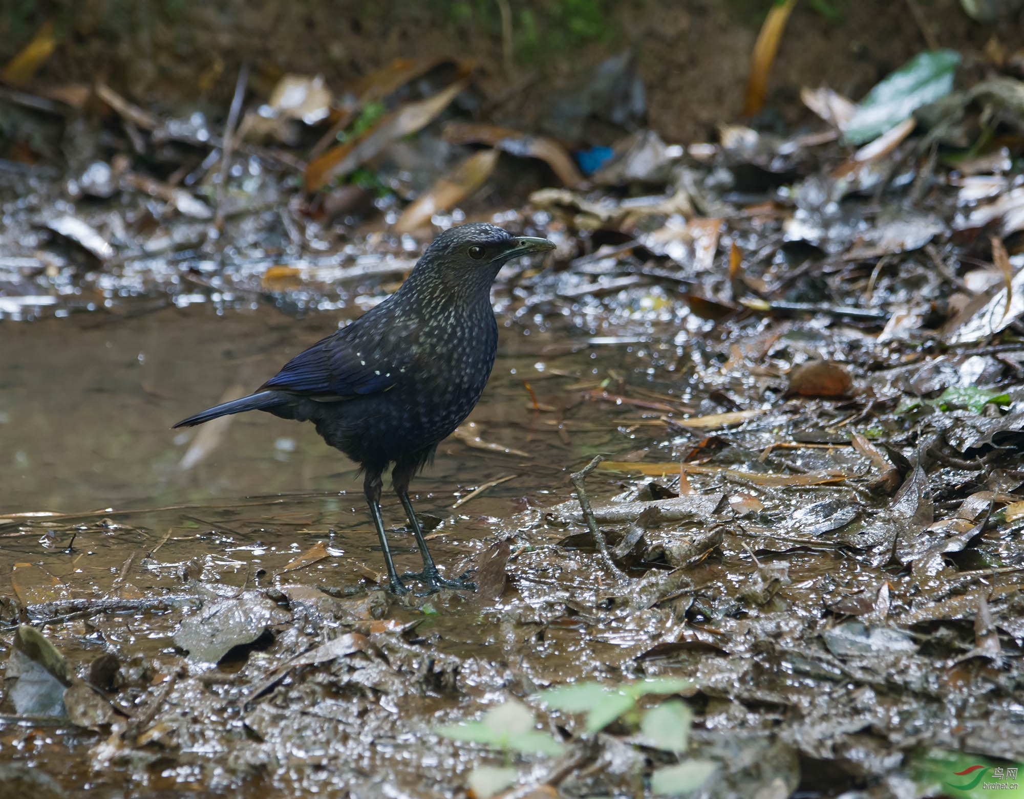 DSC_1941.jpg