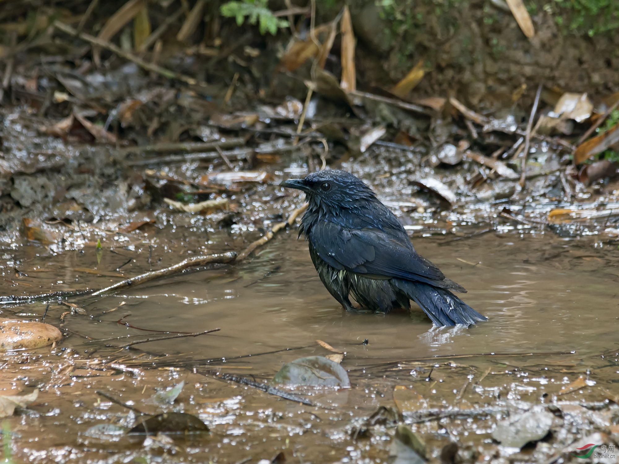 DSC_1953.jpg