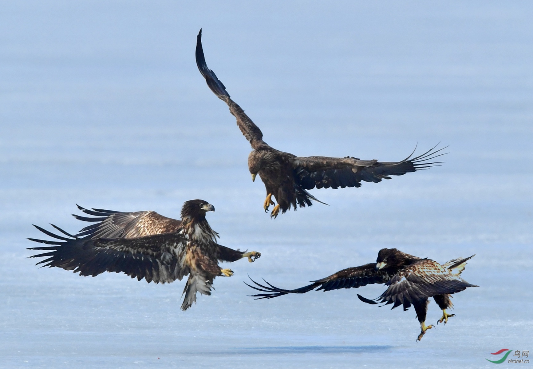 IYK_5138 ���� 2_����.jpg