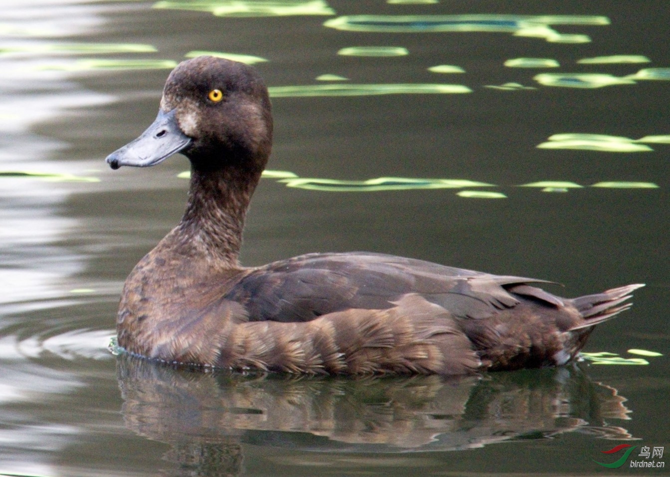 截屏2020-04-20 09.40.14.jpg