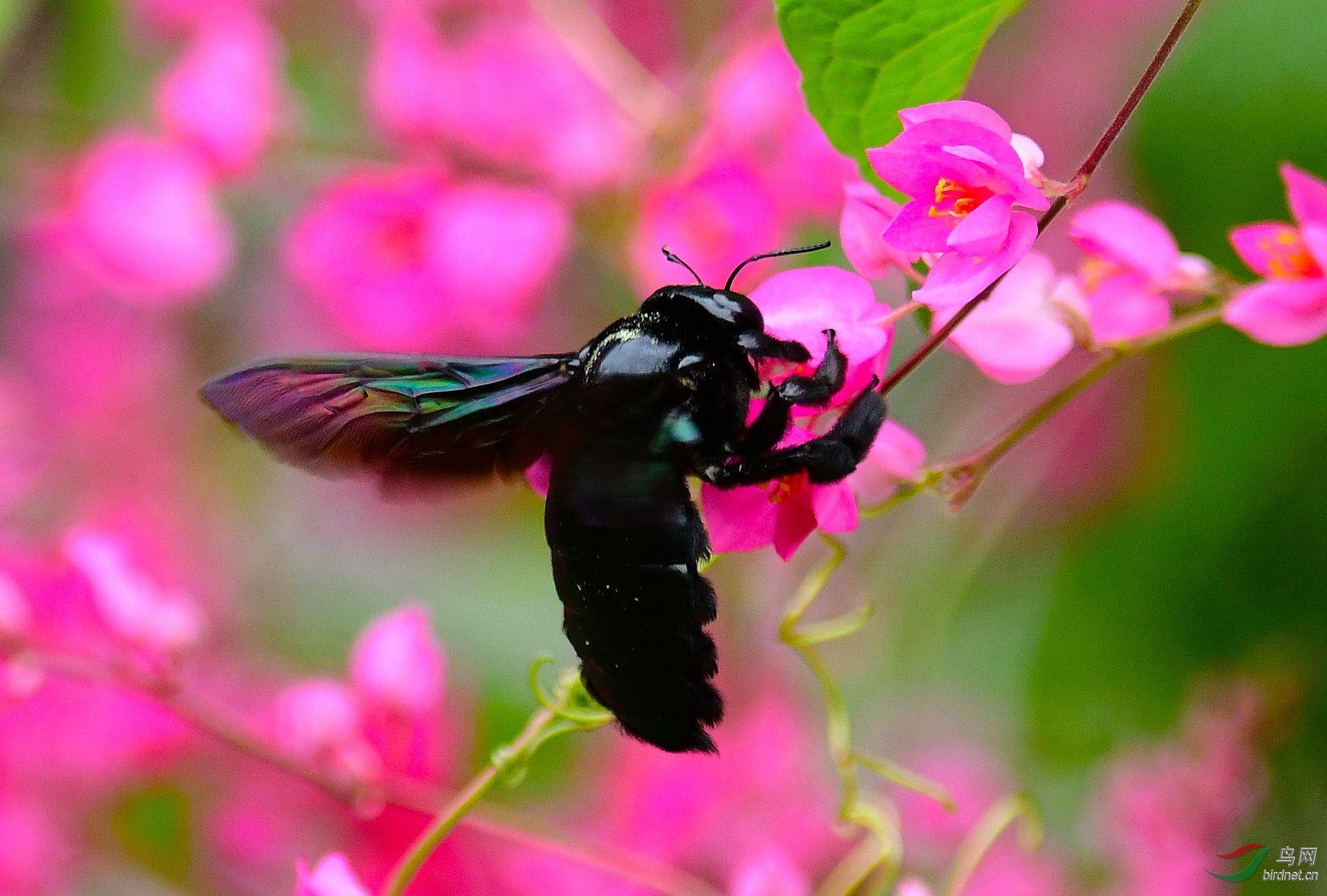 DSC_2847.JPG
