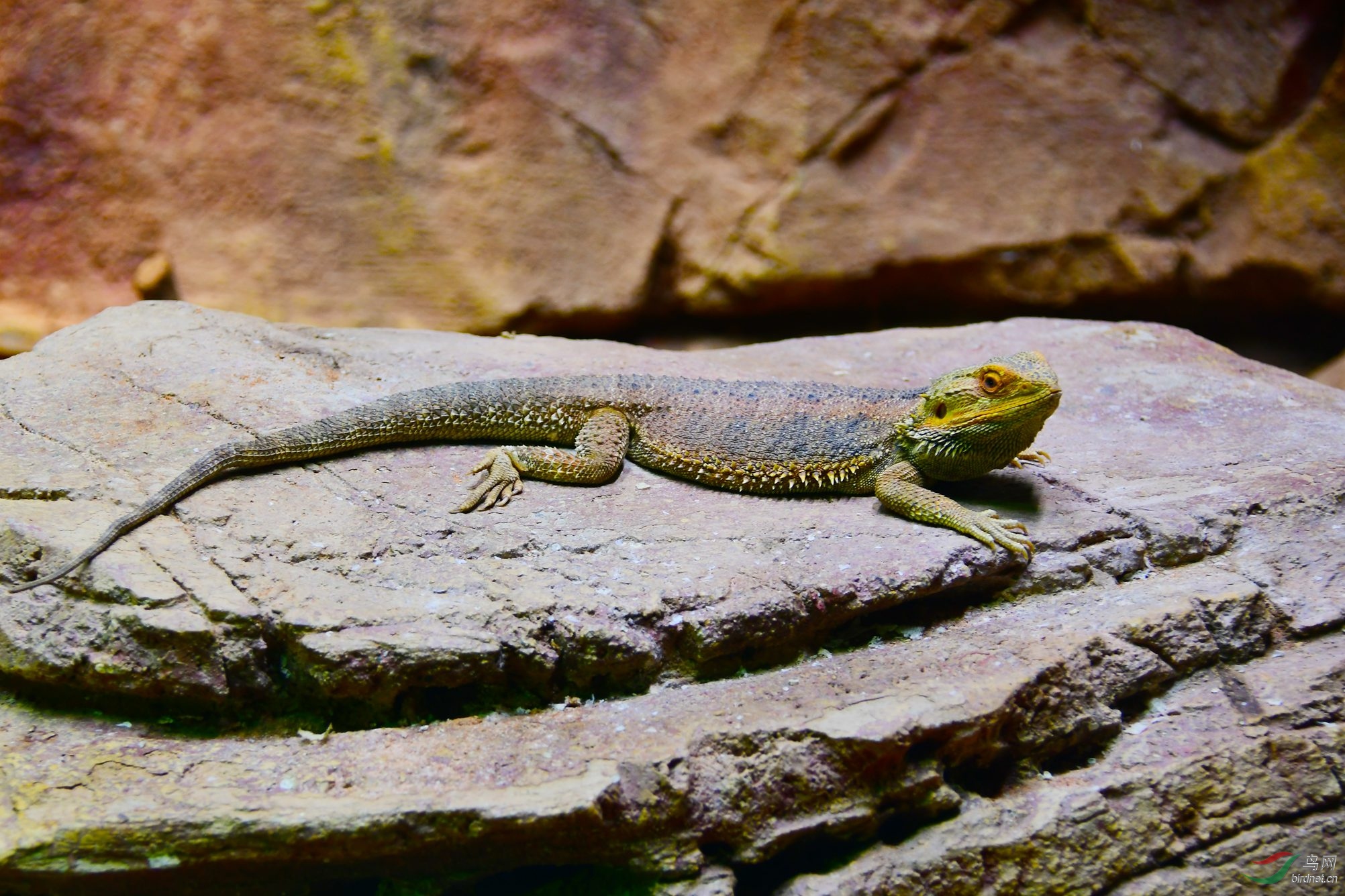 DSC_2925.JPG