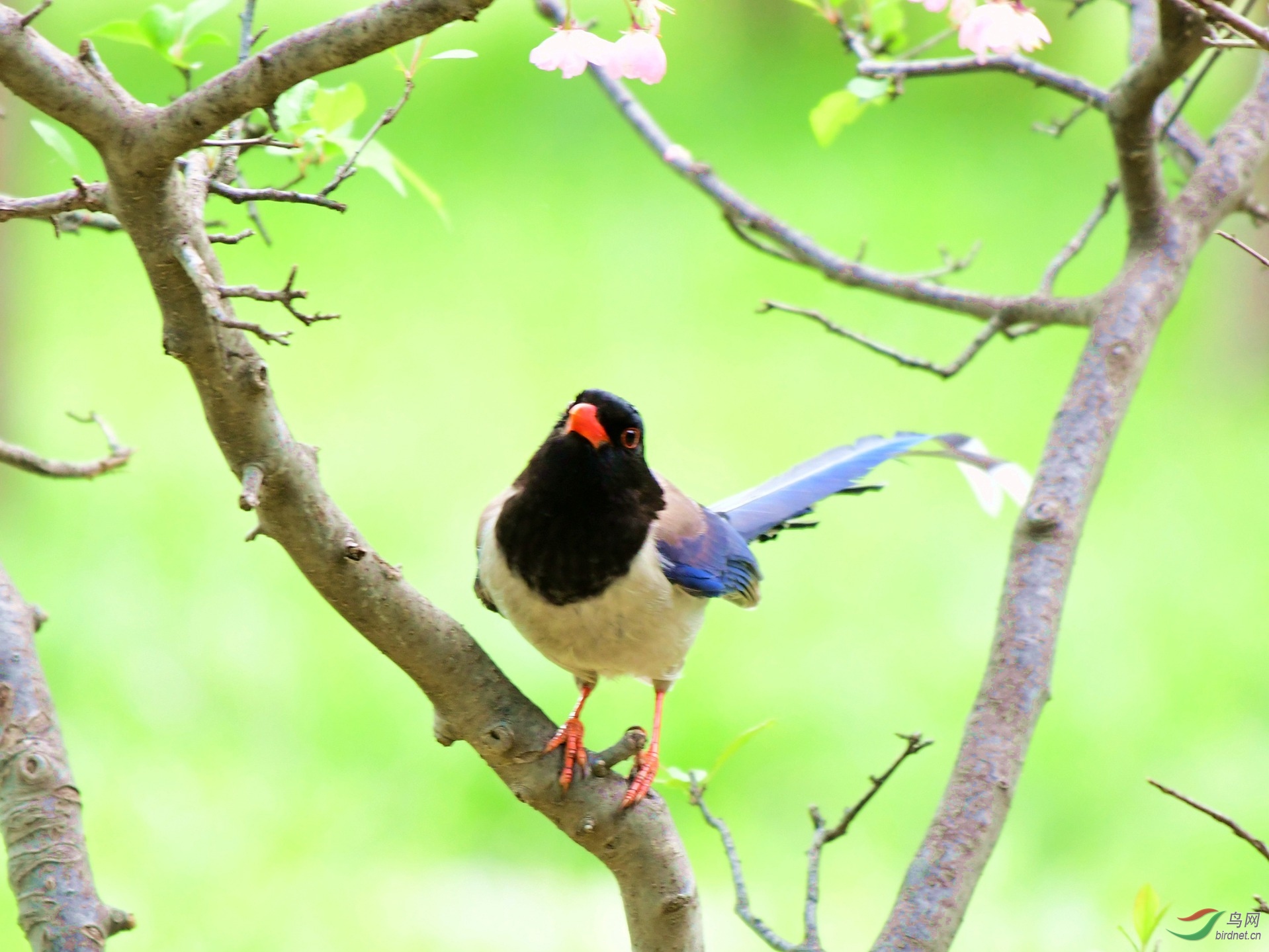 �����lݺ 743.JPG