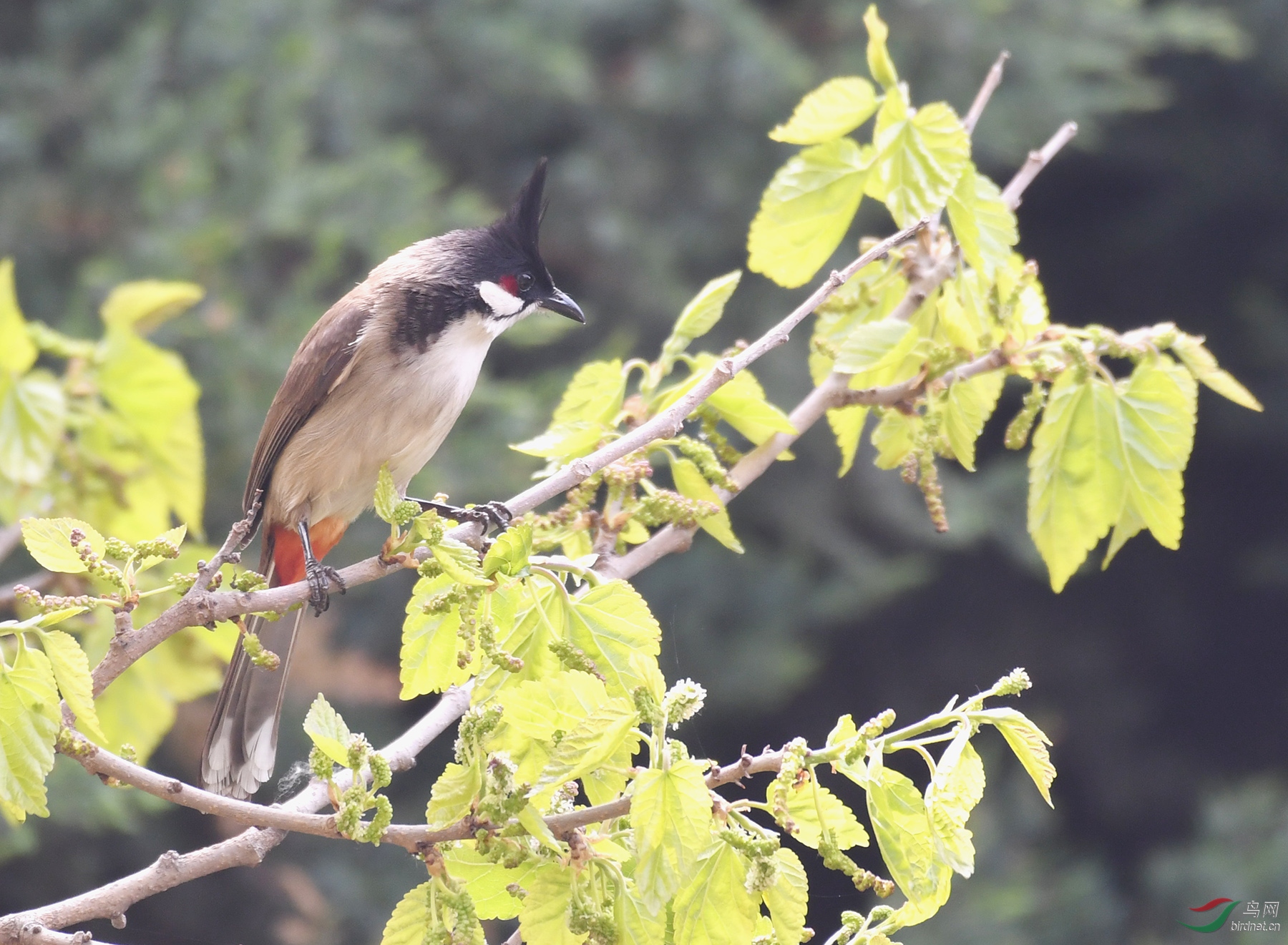 ������Ӱ 588����.jpg