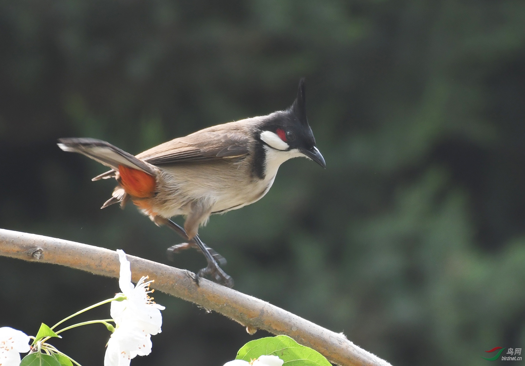 ������Ӱ 694����.jpg