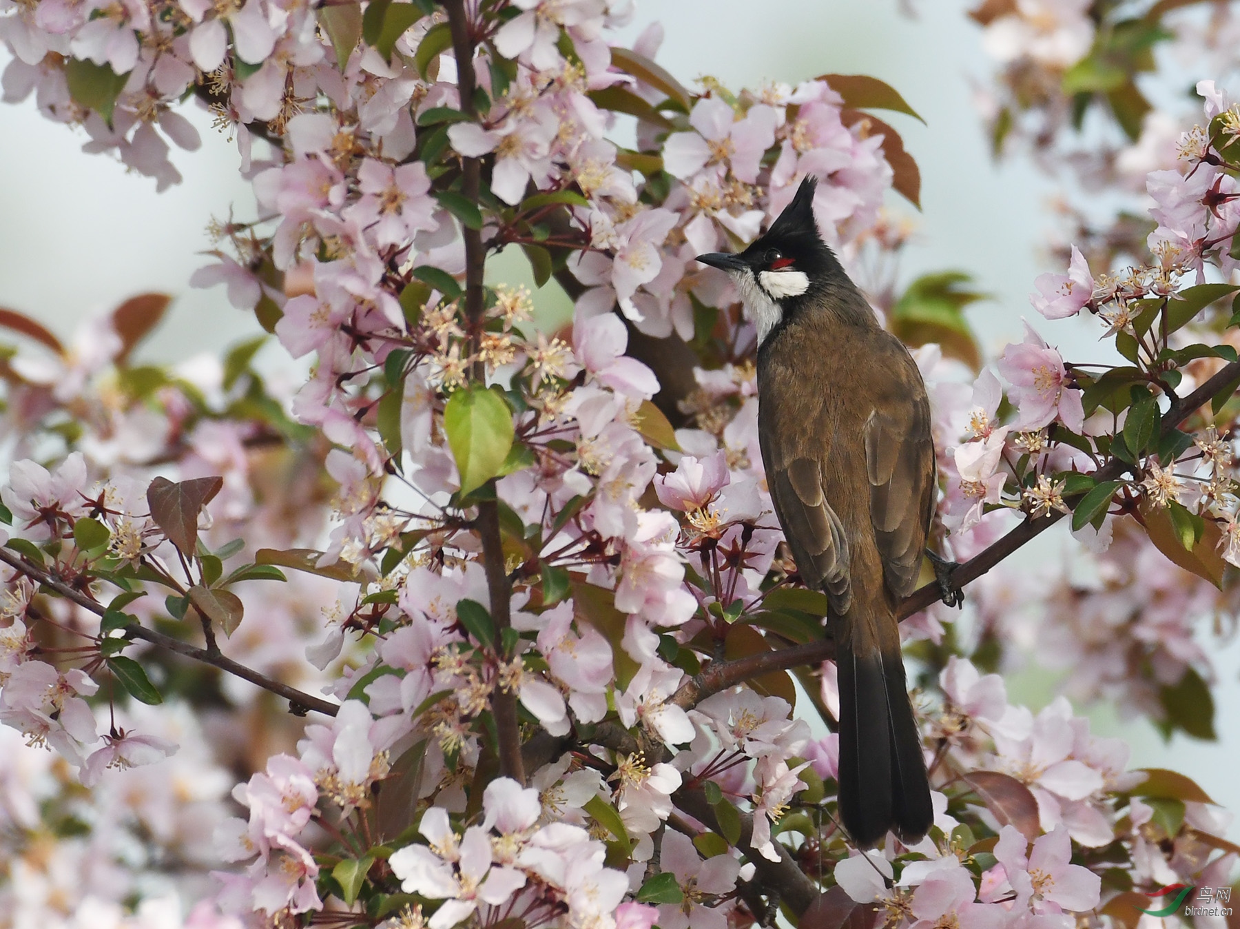 ������Ӱ 238����.jpg