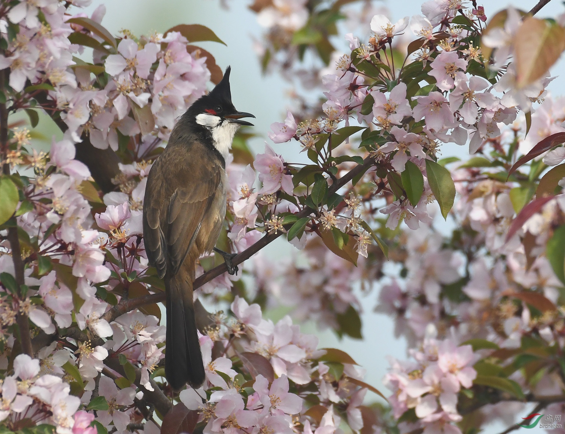 ������Ӱ 224����.jpg