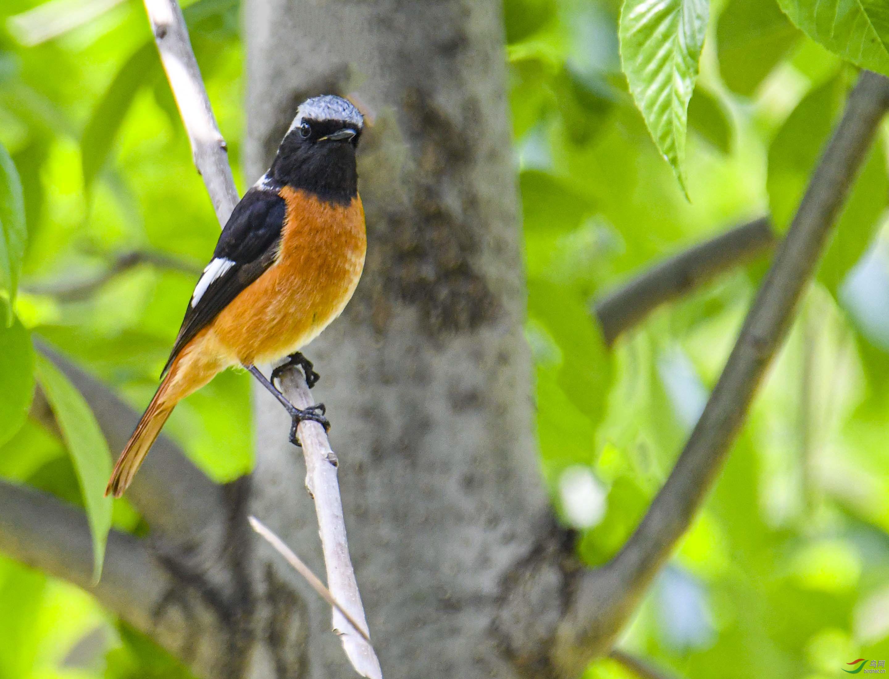 DSC_9203.JPG