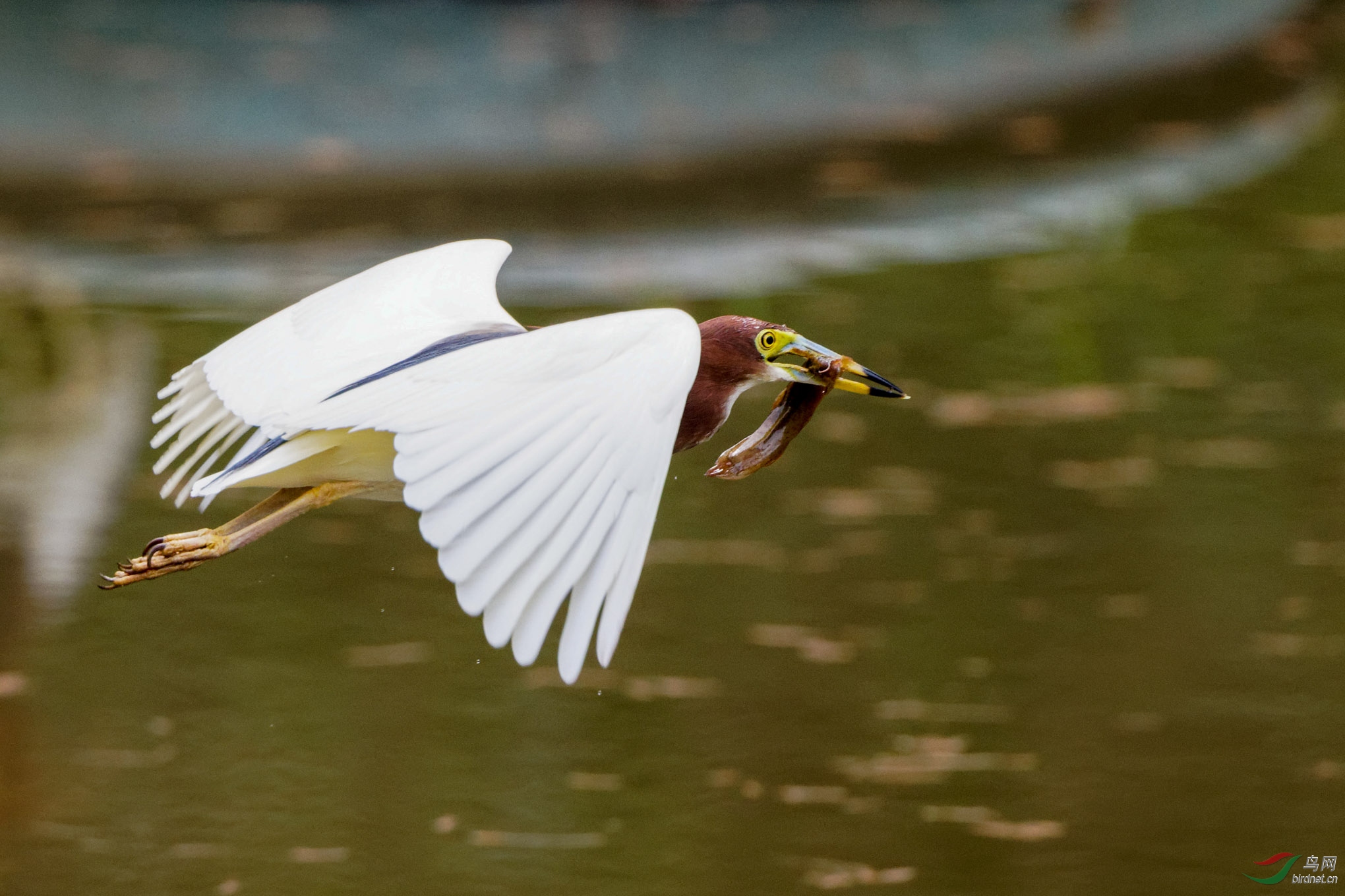 IMG_7669_DxO.jpg
