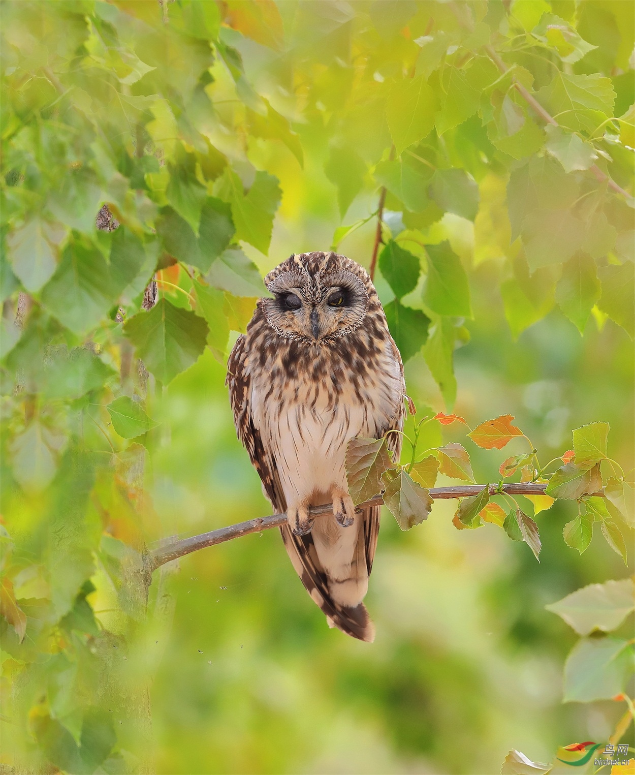 5 - ����.JPG