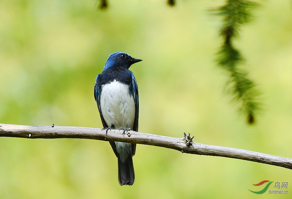 �׸�����