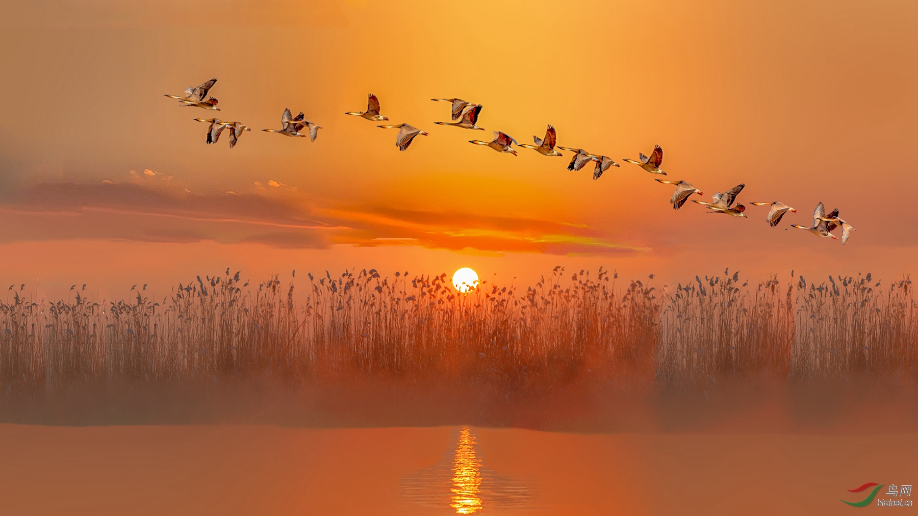 220518lggs1secr8sgrzms_����_����_����_���� (2)_����.jpg